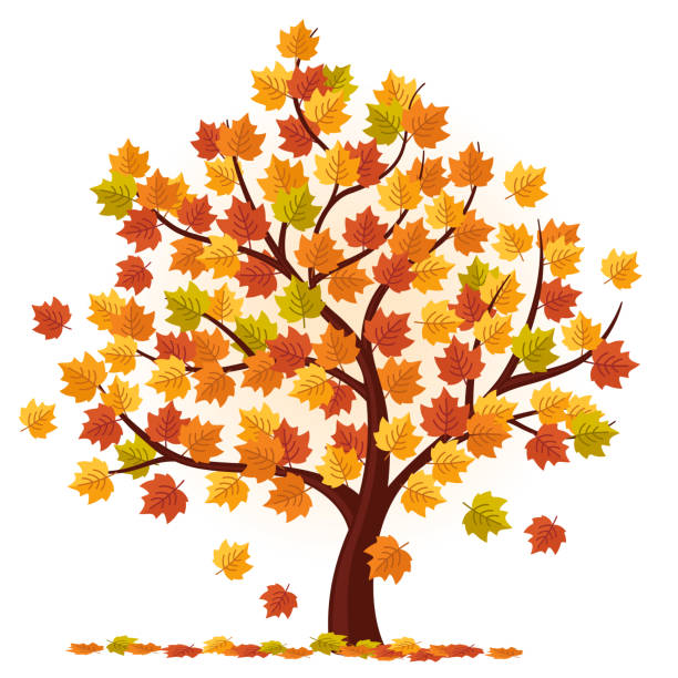 fall clip art tree