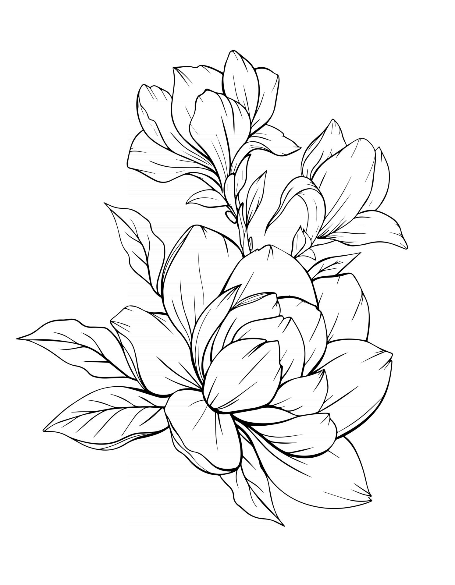 flower line drawing