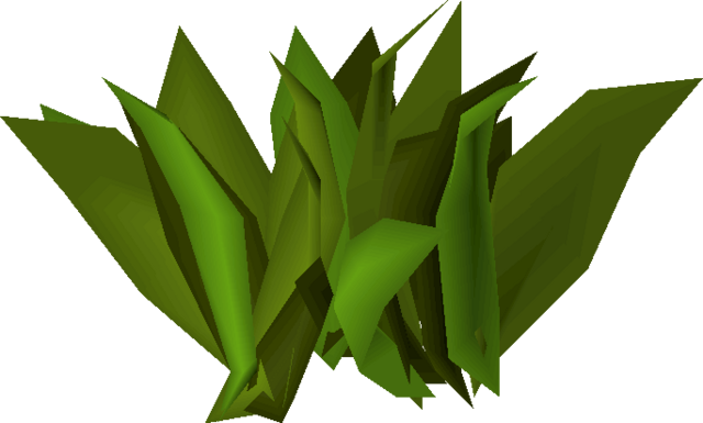 ranarr weed osrs