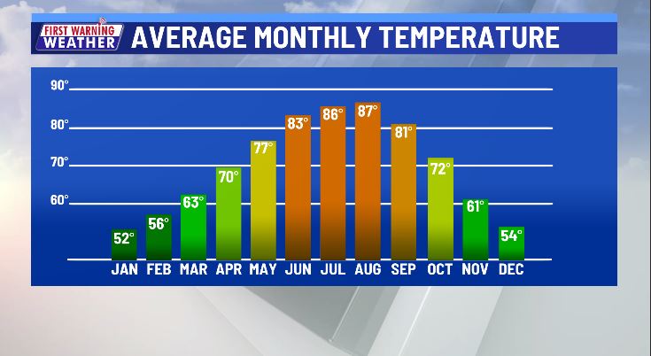 average temperature in texas in january