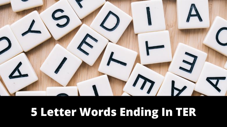 5 letter words ending with t e r