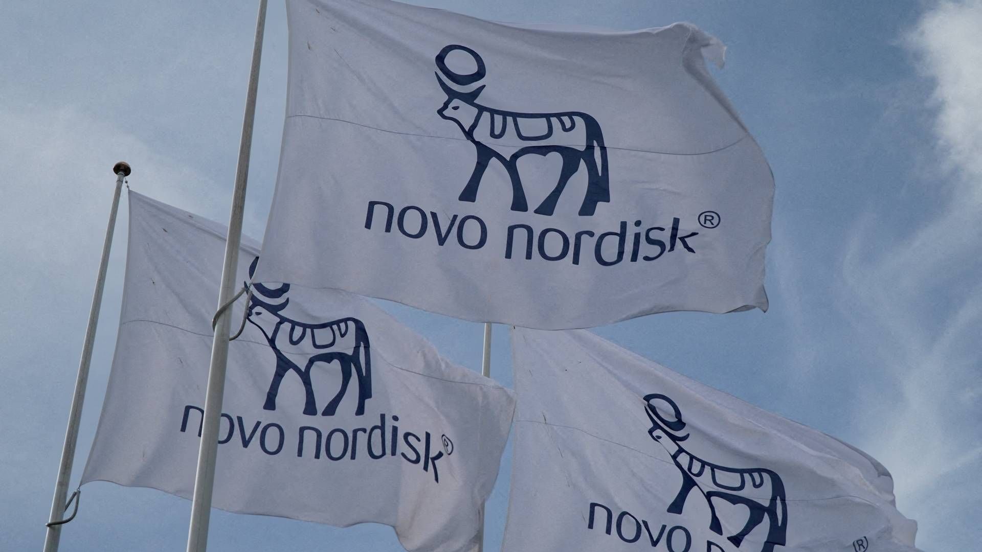 novo nordisk investors