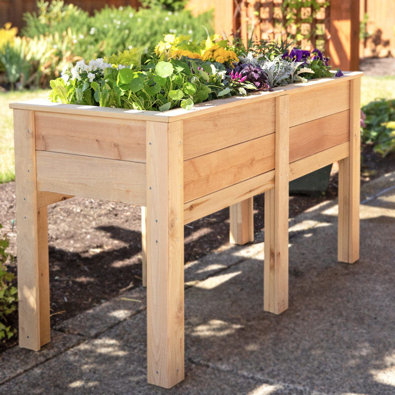 planter boxes elevated