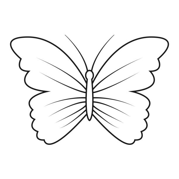 white butterfly clipart