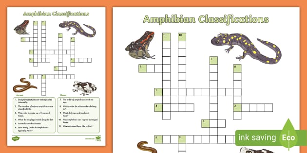 amphibian crossword clue