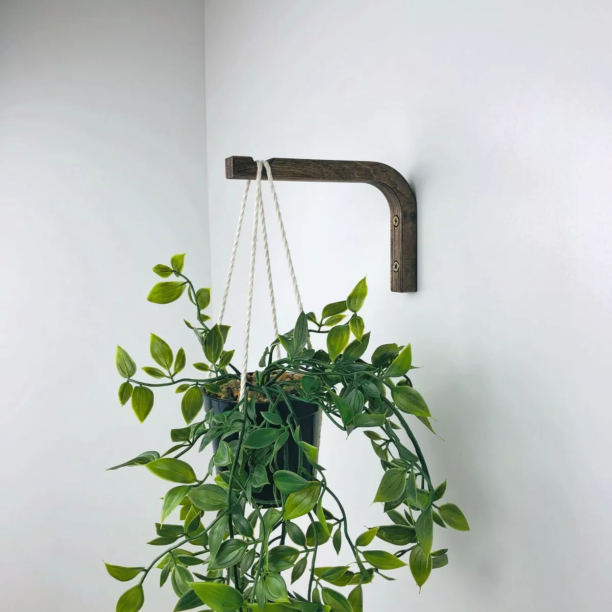 bracket plant hanger