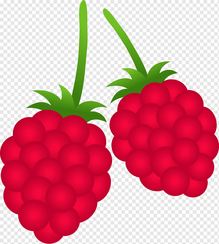 berries clipart