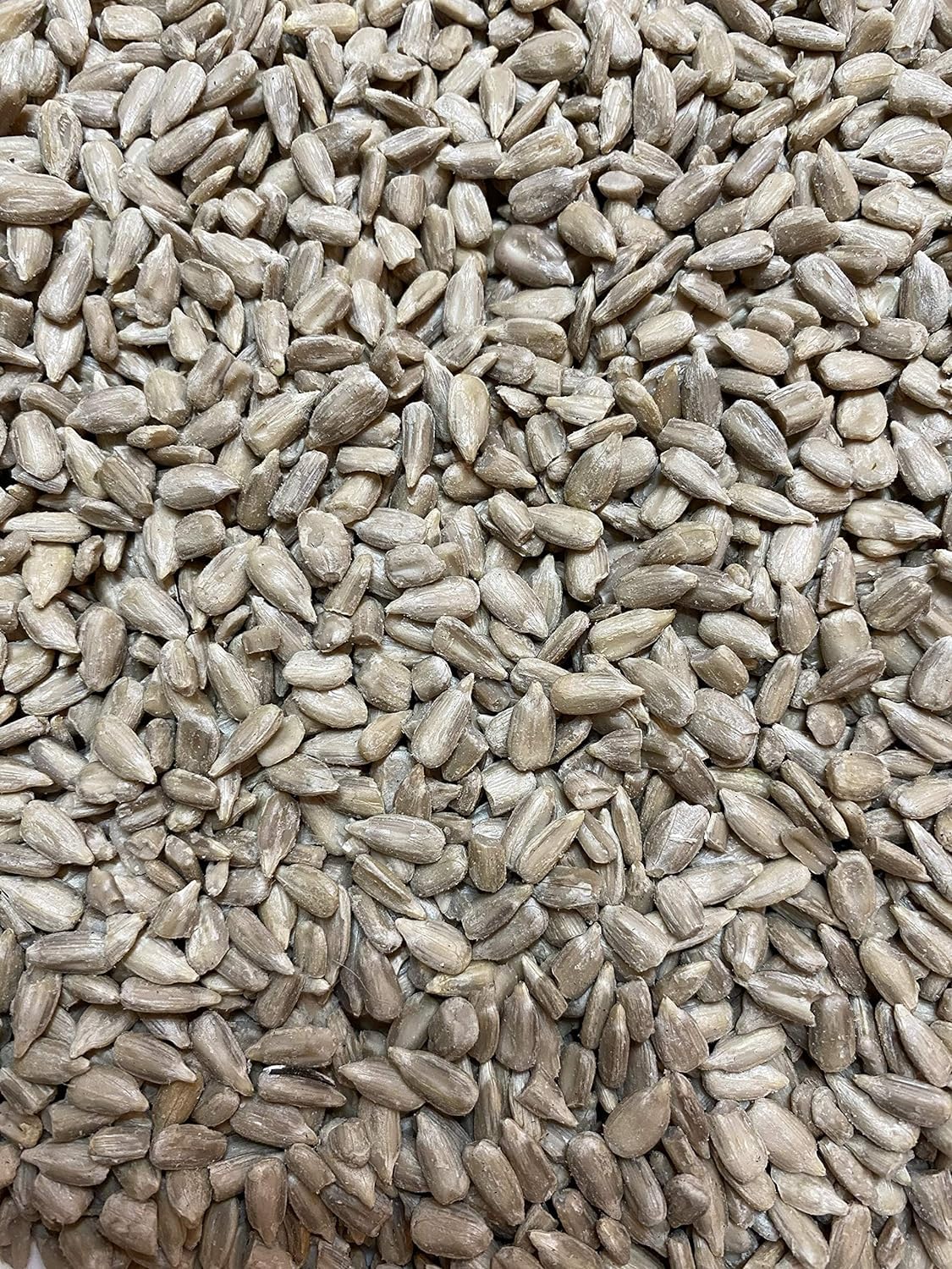 cheapest sunflower hearts for birds