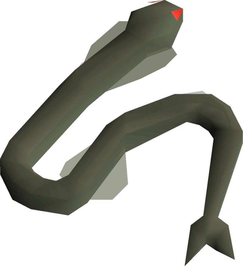 osrs sacred eel