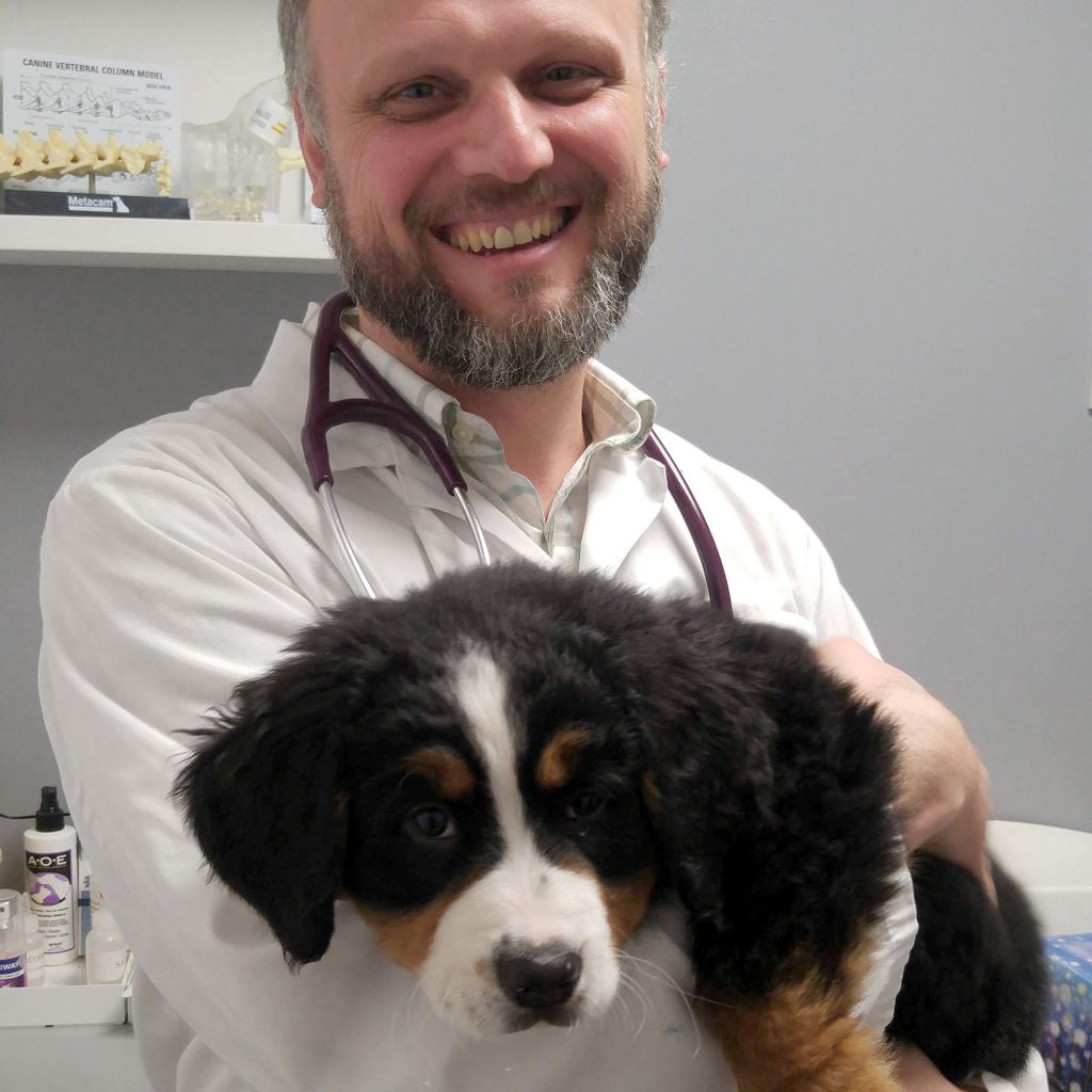 coquitlam animal hospital