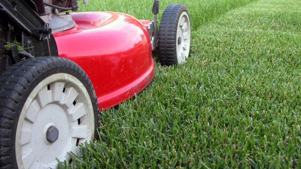 cheap lawn mowing services near me