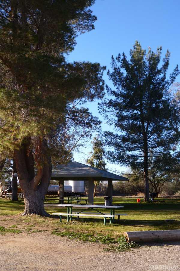 los arboles mobile home park