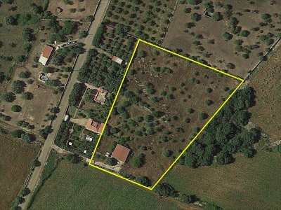 20000m2 in acres