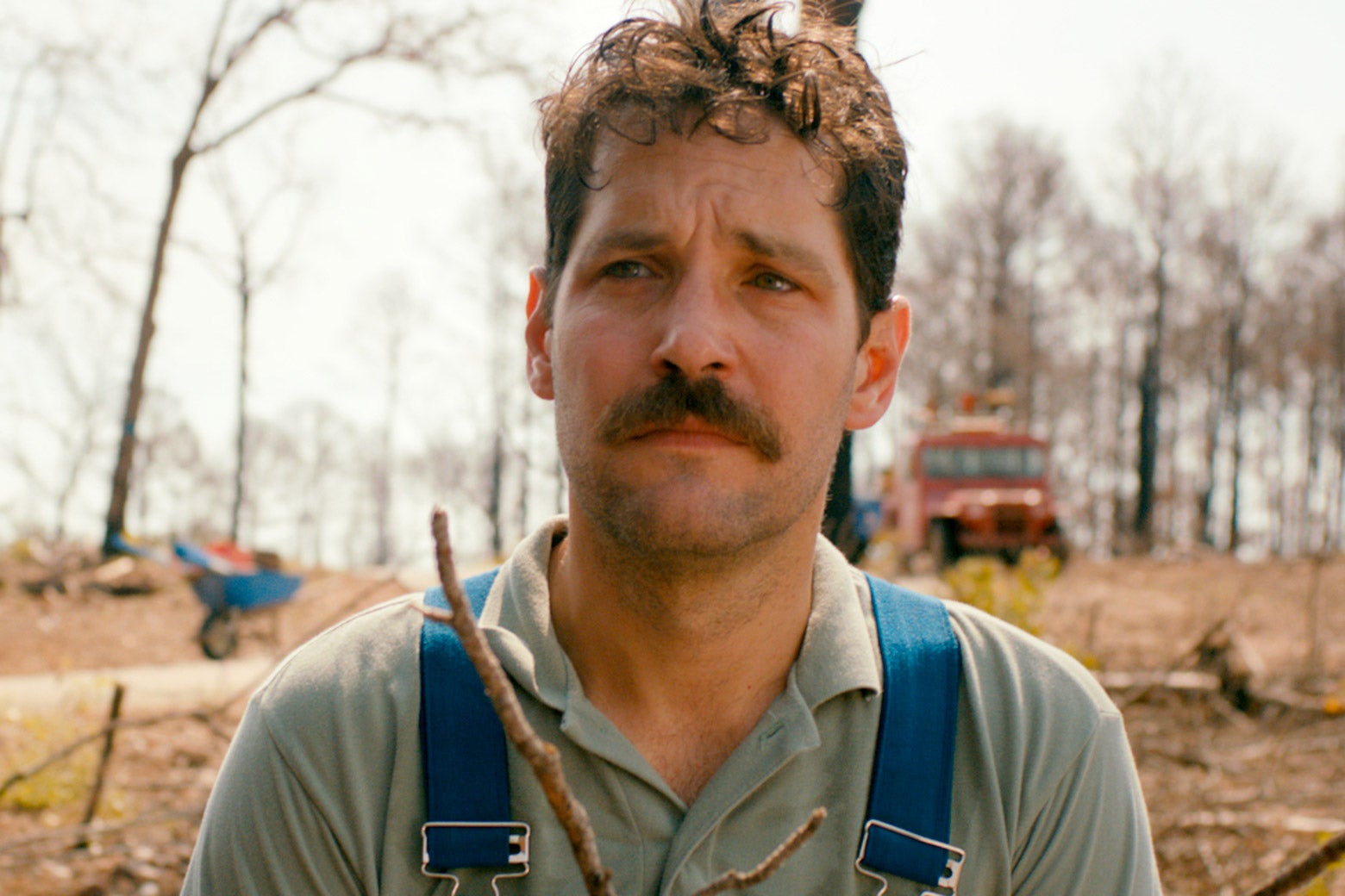 paul rudd moustache