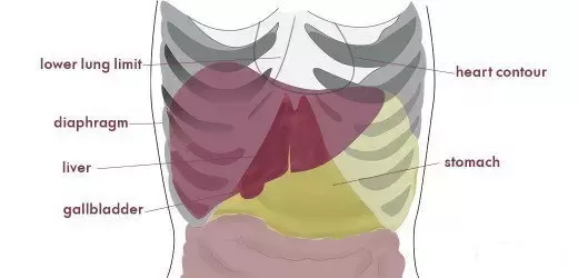 pain in right side abdomen under ribs