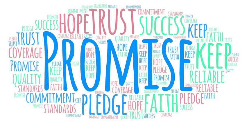 synonyms for promise