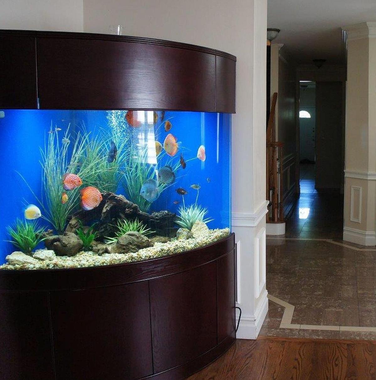 aquarium for sale near me