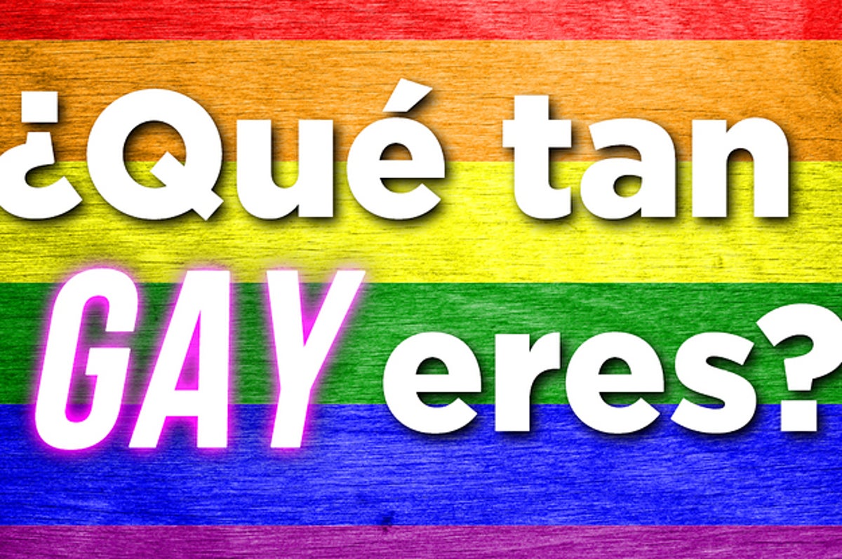 you are gay traduccion