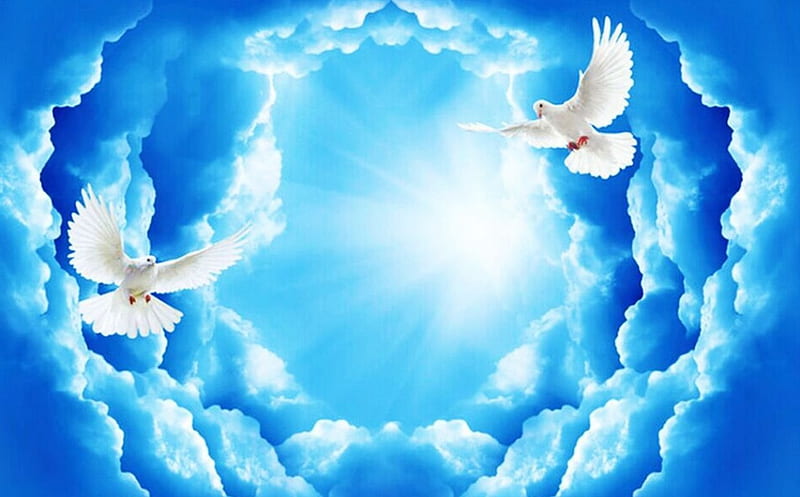clouds and dove background