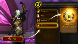 world of warcraft character boost