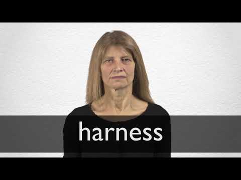 harness en español