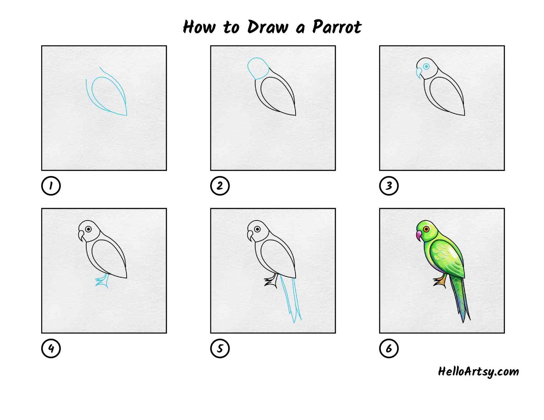 how to draw a parrot