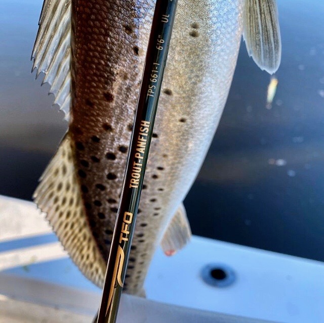 tfo trout panfish