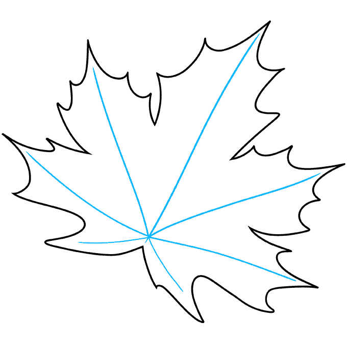 maple tree leaves drawing