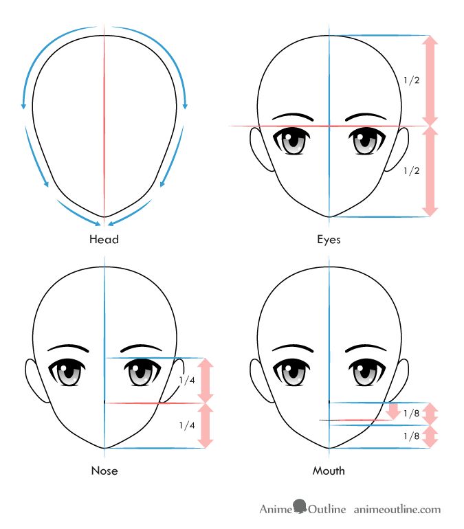 anime face proportions guidelines