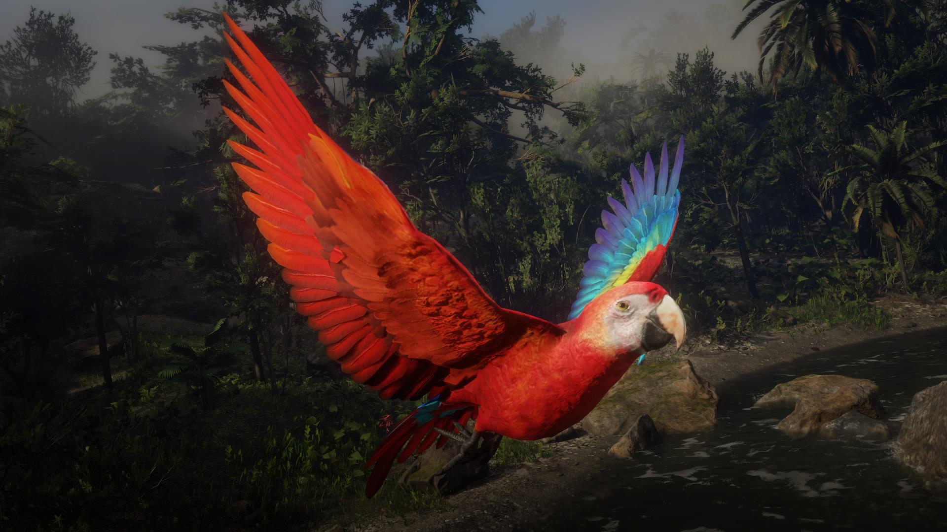 scarlet macaw rdr2