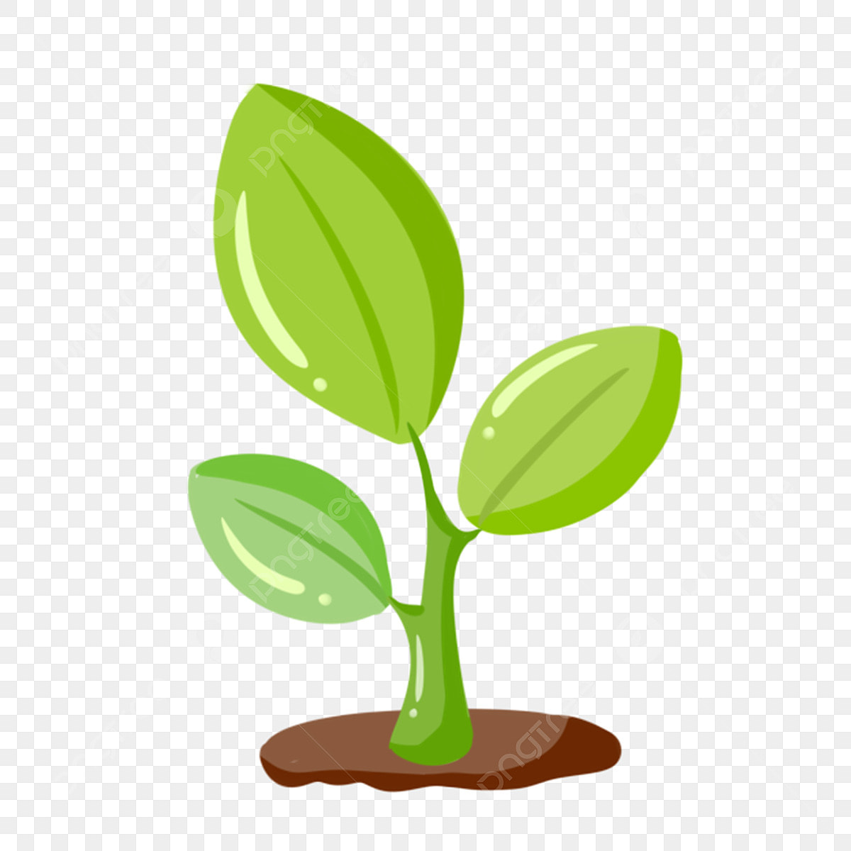 budding clipart