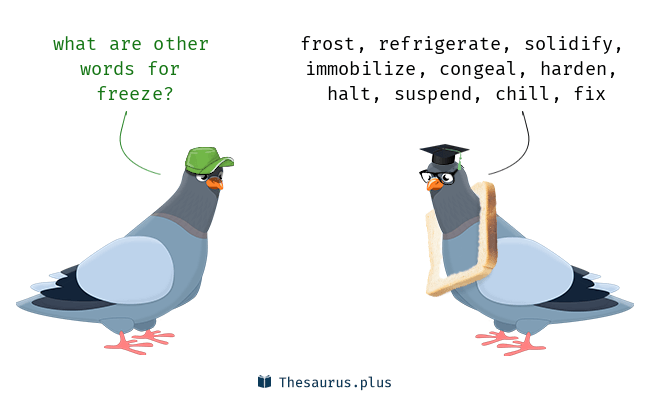 freeze thesaurus