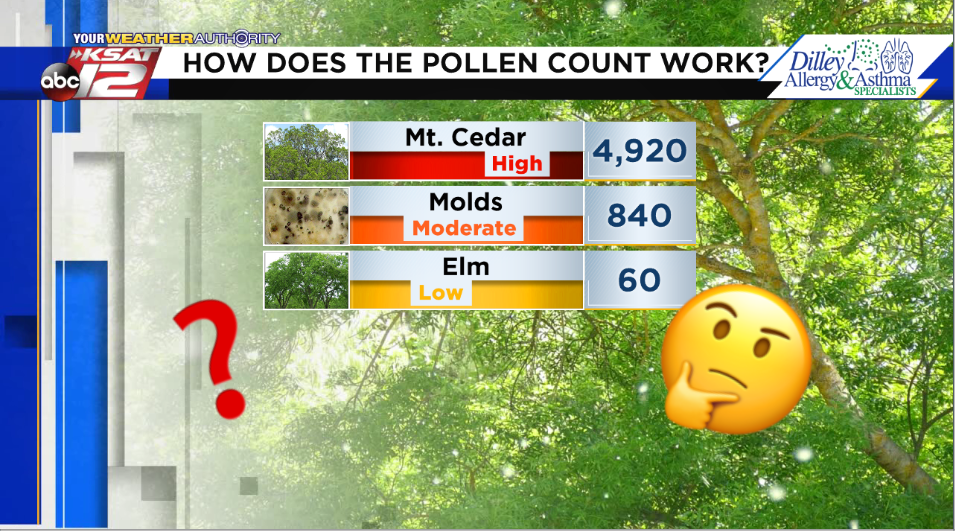 whats the pollen count for today