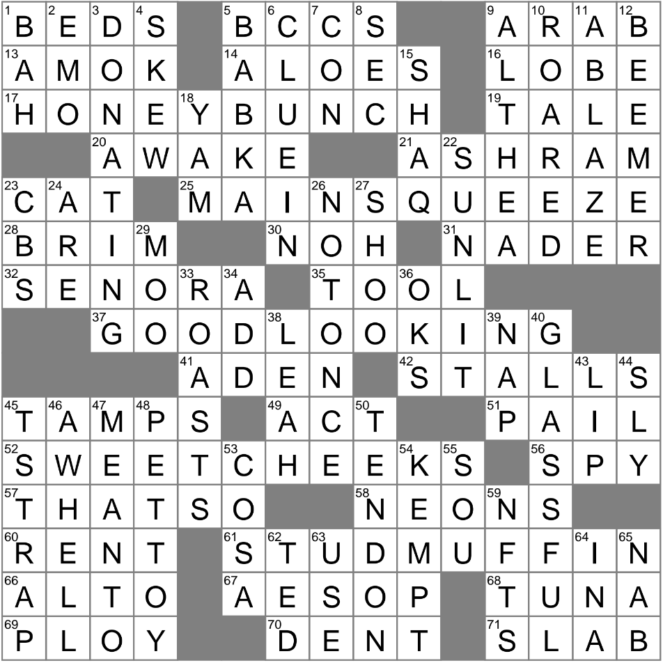 groomed with elaborate care crossword clue