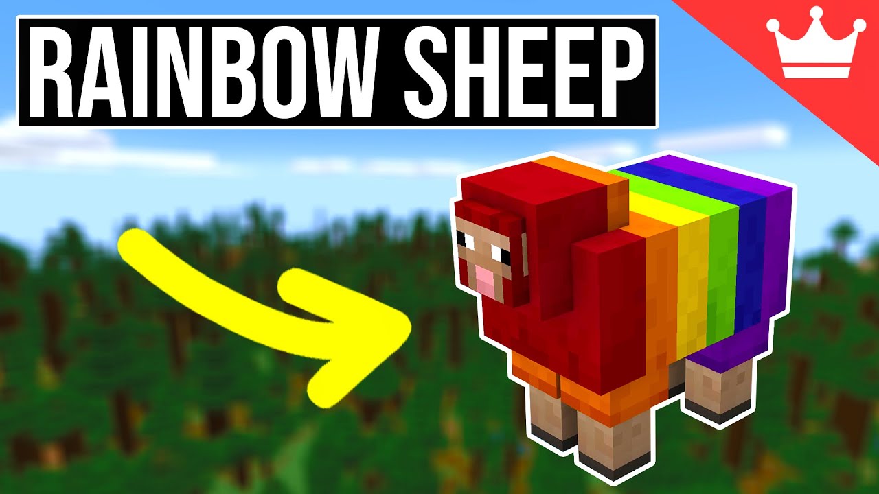 how to make rainbow sheep