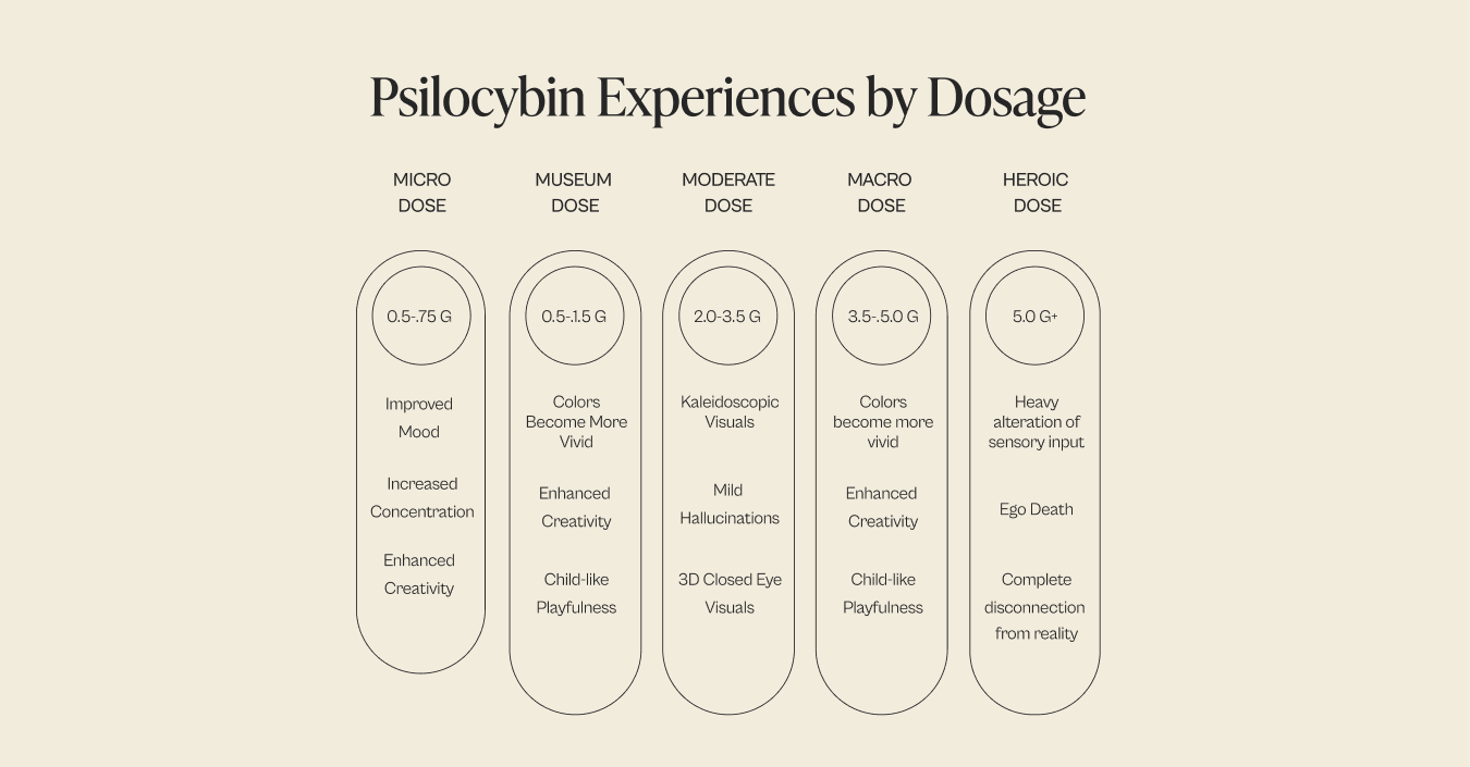 magic truffles dosage calculator