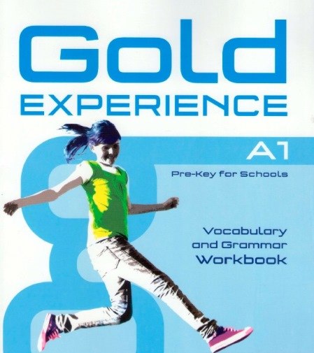 gold experience a1 pdf download