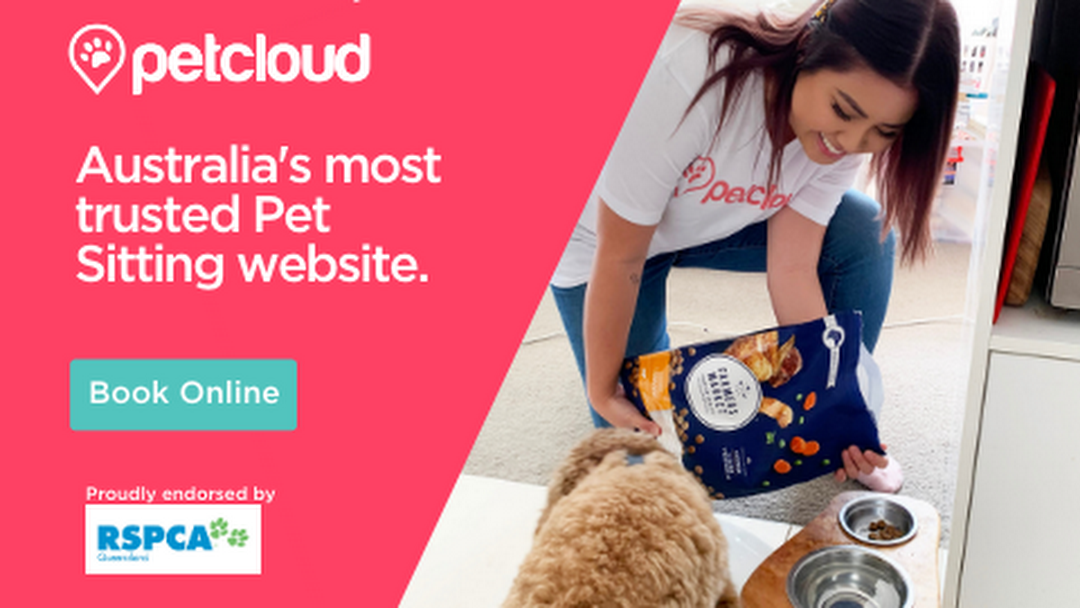 pet sitter cairns