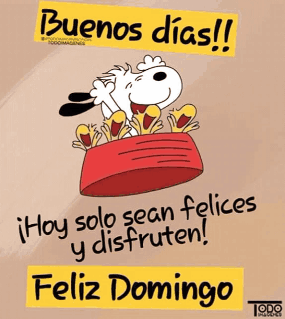 buenos dias feliz domingo