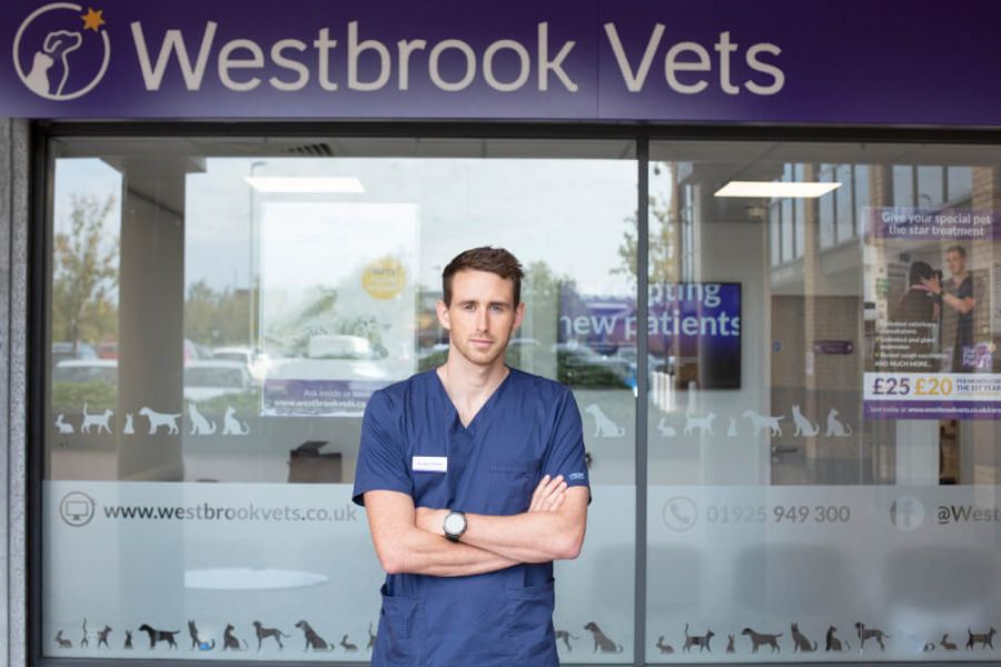 westbrook veterinary clinic