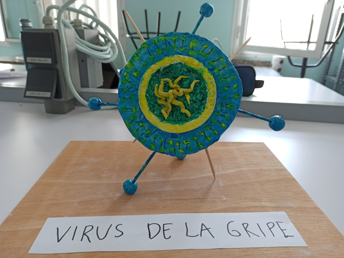 maqueta de un virus