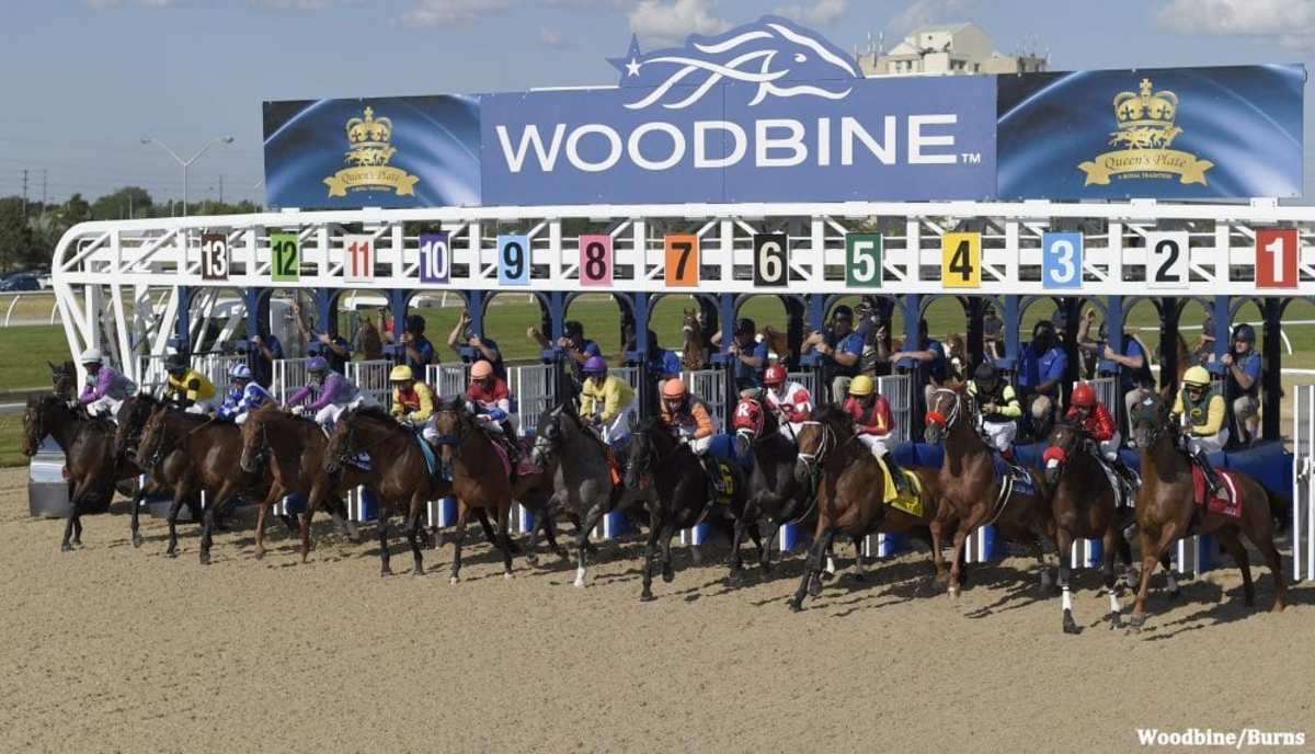 woodbine entries