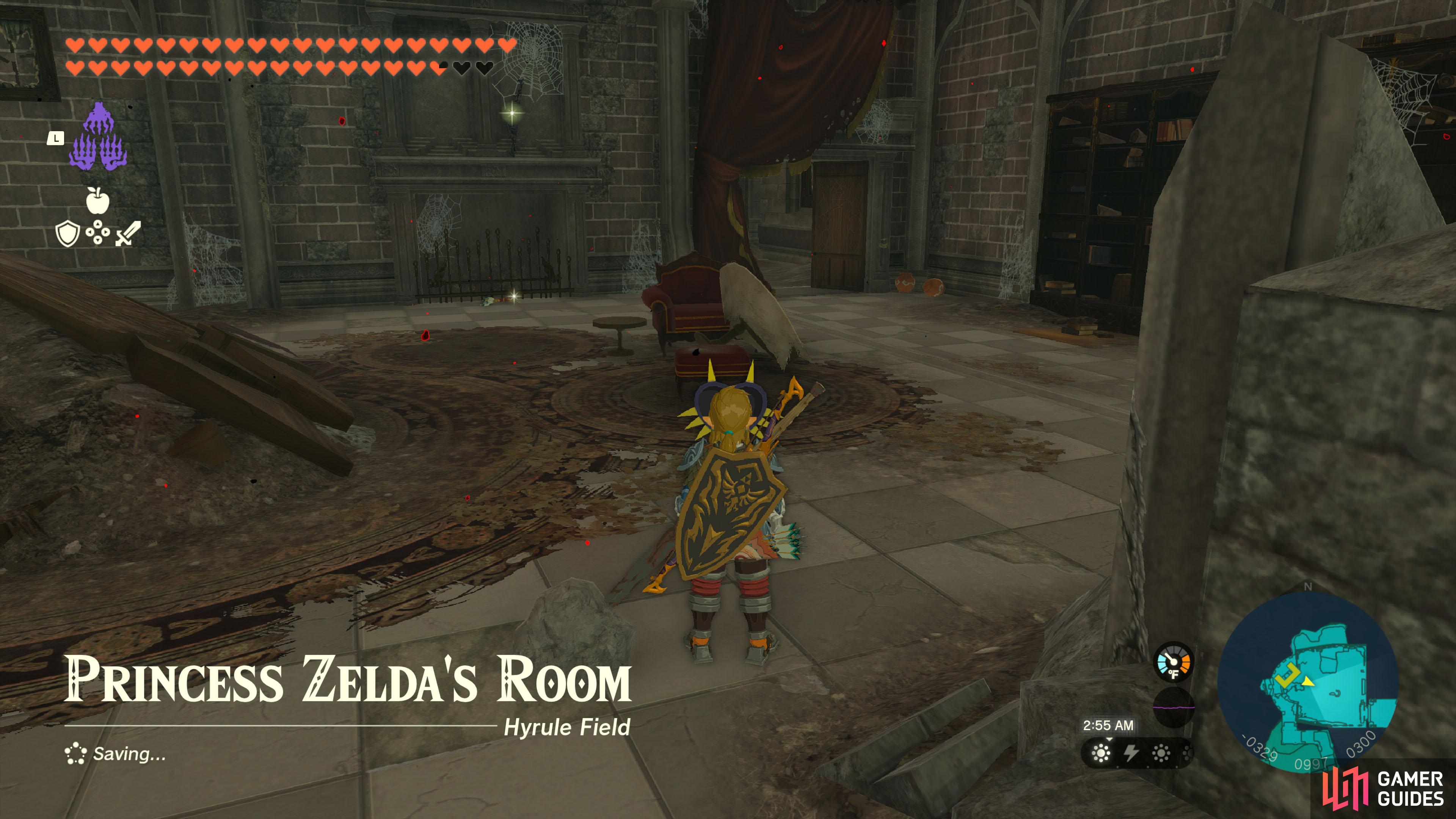 princess zelda room totk