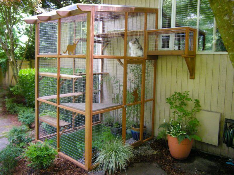 building a cat enclosure