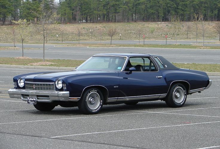 1973 monte carlo car