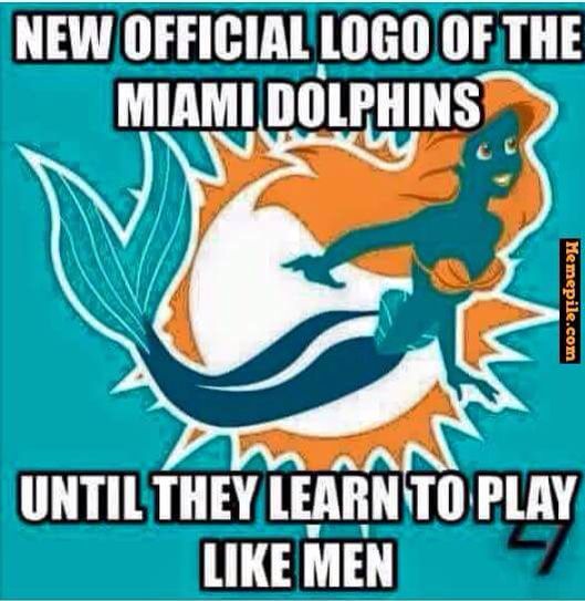 dolphins memes