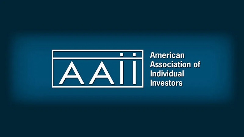 american association of individual investors aaii