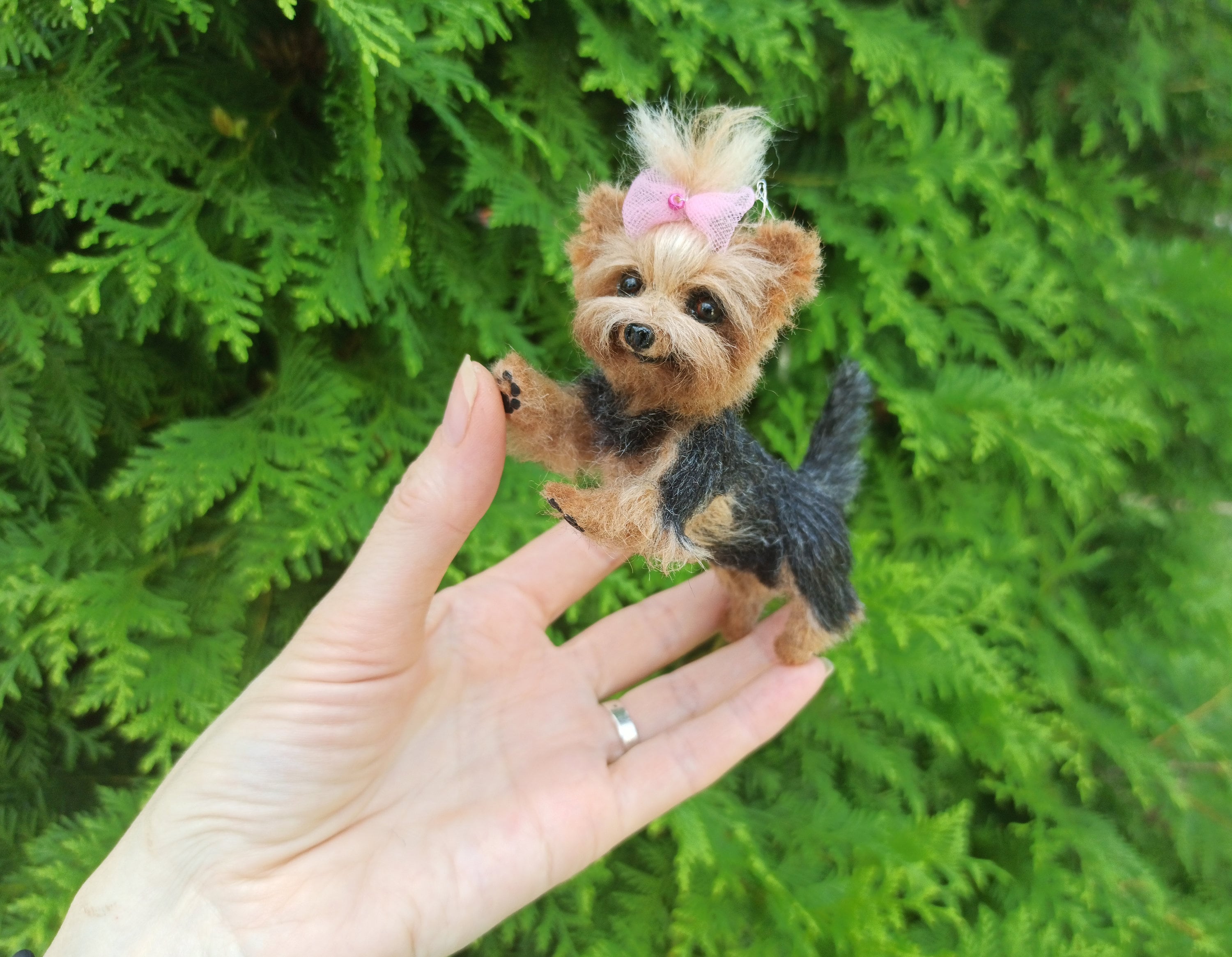 mini yorkshire terrier