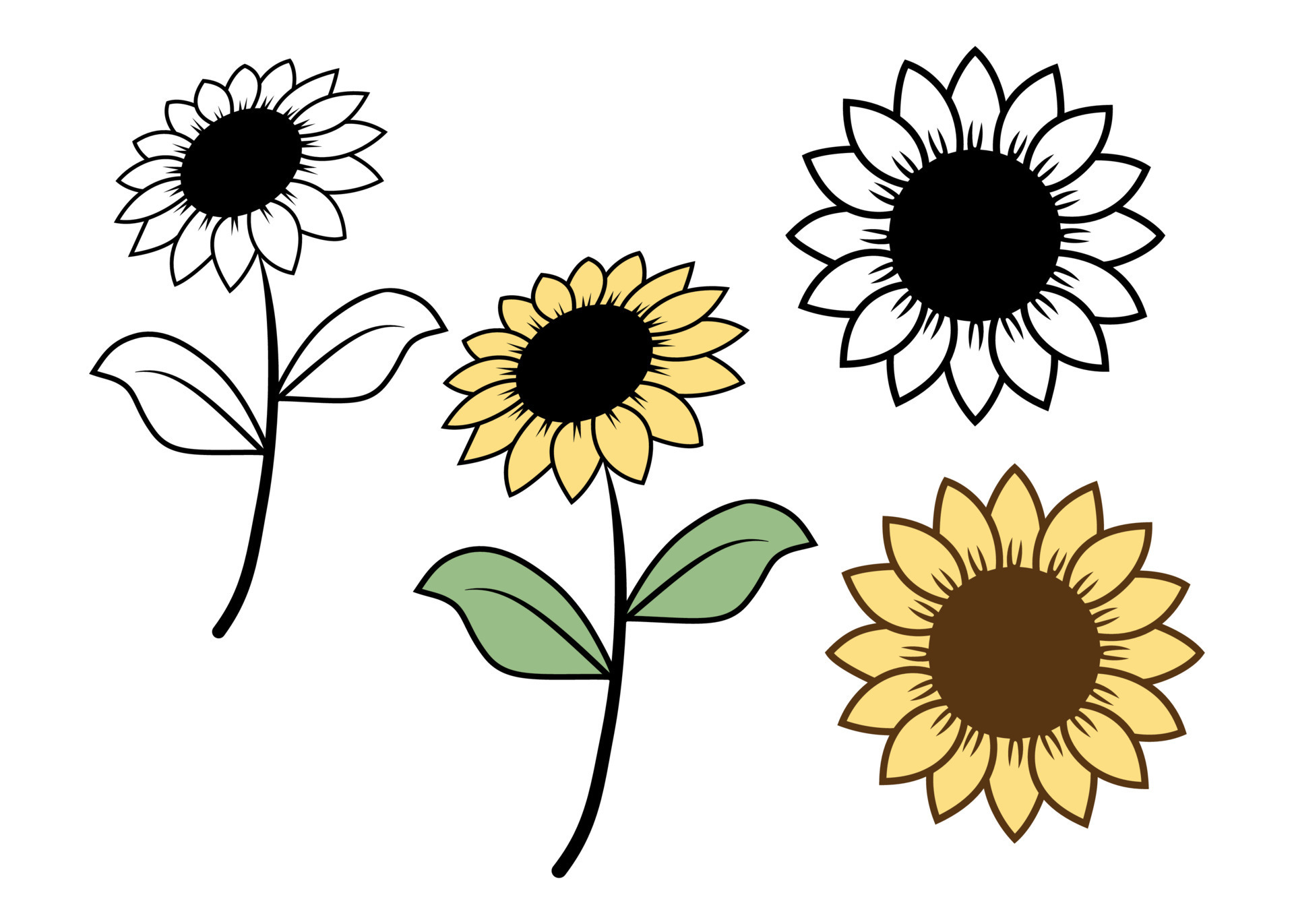 girasol minimalista