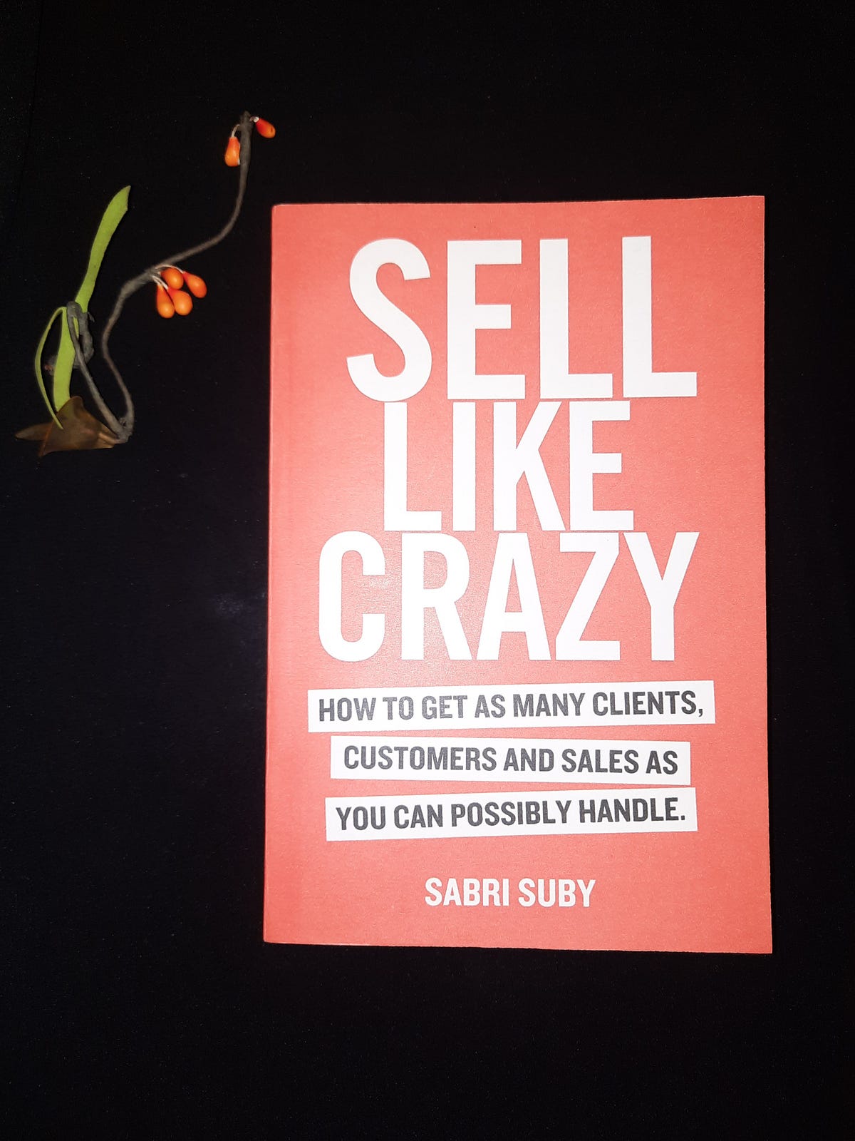 sell like crazy free ebook